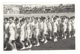 Photo " Classe De 6e Lycée Perrier 1937/38 ", Photo-Dock Marseille, Stade Vélodrome ( Pub Ricard ) - Sport