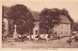 CHATEL LE COUVENT              La Sortie Du Troupeaux     1 - Sonstige & Ohne Zuordnung