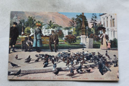 N813, Jardins De Monte Carlo, Les Pigeons Sur La Place Du Casino, Monaco - Monte-Carlo