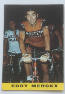 Carte Postale Eddy Merckx - Cyclisme