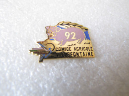 TOP PIN'S   COCHON   COMICE AGRICOLE  VILLEFONTAINE  Email Grand Feu - Animales