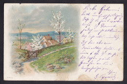 Spring Landscape / Year 1904 / Long Line Postcard Circulated, 2 Scans - Paintings