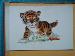KOV 506-53 - TIGER, TIGRE - Tigres