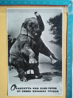 KOV 506-56 - ELEPHANT, OLIFANT,  - Elefanti