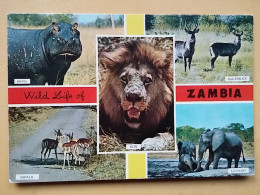 KOV 506-56 - ELEPHANT, IMPALA, LION, WATERBUCK, HIPPO, HIPPOPOTUMUS,, ZAMBIA - Elefantes