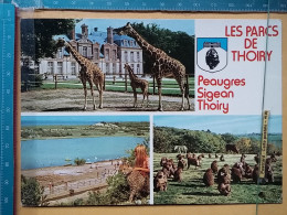 KOV 506-56 - GIRAFFE, MONKEY, THOIRY EN YVELINES, ZOO PARC, PARK - Girafes