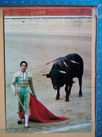 KOV 506-57 - BULL, TAUREAU, CORRIDA DE TOROS, MATADOR - Bull