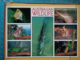 KOV 506-58 - AUSTRALIA, FISH, KOALA, IGUANA, DOLPHIN, CROCODIL, KANGAROO, LORRIKEET - Other & Unclassified
