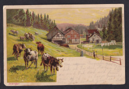Spindler - Cows / Long Line Postcard Circulated, 2 Scans - Peintures & Tableaux