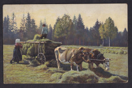 Cows - Working In Field / Postcard Circulated, 2 Scans - Vaches