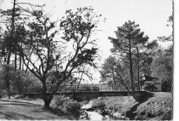 HOSSEGOR - Le Golf - Parcours N°3 Et Passerelle Sur Le Bourret - Très Bon état - Hossegor