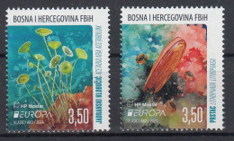 BOSNIA Mostar.2024 Europa CEPT.Underwater Flora And Fauna.Set 2 Stamps. MNH - 2024