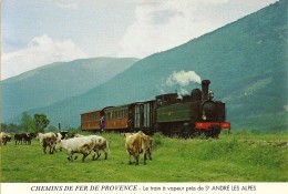 *CPM  - 04 - SAINT ANDRE LES ALPES -  Le Train à Vapeur - Chemins De Fer De Provence - Troupeau De Vache - Sonstige & Ohne Zuordnung
