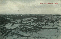 Coxyde - Dunes Et Pannes - Koksijde