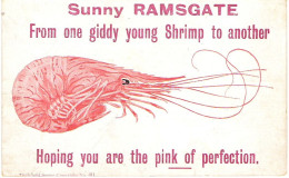 GREETING CARD FROM RAMSGATE, KENT, ENGLAND. USED POSTCARD My9 - Ramsgate