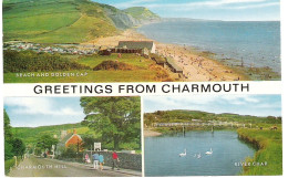 SCENES FROM CHARMOUTH, DORSET, ENGLAND. UNUSED POSTCARD My9 - Otros & Sin Clasificación