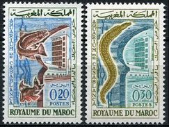 Maroc  448/449 ** MNH. 1962 - Maroc (1956-...)