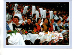 CP JA La Fête Des Brodeuses De Pont L'Abbé - Pont L'Abbe