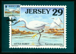 Mk Jersey Maximum Card 1999 MiNr 899 | Seabirds And Waders. Little Egret #max-0072 - Jersey