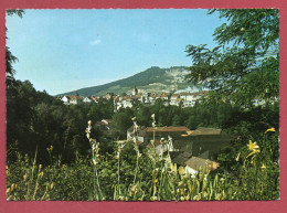 39 - CHAMPAGNOLE - Vue Générale Au Fond Le Mont-Rivel - Champagnole