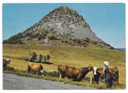 Gardienne De Vaches Au Pied Du Mt Gerbier Des Joncs - N° 4211 # 2-23/28 - Autres & Non Classés