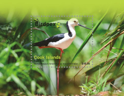 Cook  2022, Birdpex, BF - Cook Islands