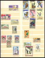 KONGO-BRAZZAVILLE **, 1960-68, Postfrische Sammlung, Ziemlich Komplett, Dabei U.a. Mi.Nr. 87 Und 116-22, Einige Wenige W - Altri & Non Classificati