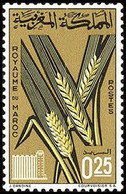 Maroc  497 ** MNH. 1966 - Maroc (1956-...)