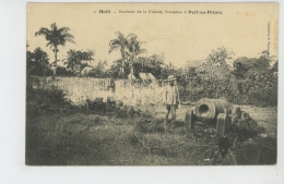 ANTILLES - HAÏTI - Souvenir De La Colonie Française à PORT AU PRINCE - Haiti