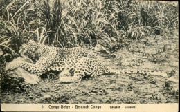 X0583 Belg. Congo, Stationery Card 10c. Circuled 1920 Showing Leopard, Light Crease At Top Right Where Indicated - Felini