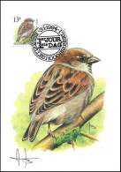 CM/MK - 2533° Moineau Domestique / Huismus / Haussperling / House Sparrow - BXL-BSL - 3-1-1994 - BUZIN - SIGNÉ/GETEKEND - 1985-.. Birds (Buzin)
