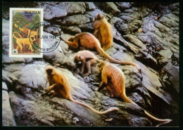 Mk Bhutan Maximum Card 1984 MiNr 843 | Endangered Species. Golden Langur. WWF #max-0074 - Bhoutan