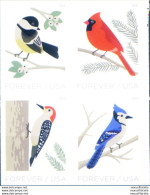 Fauna. Uccelli Canterini Invernali 2018. - Altri & Non Classificati