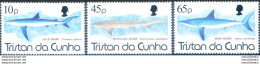 Fauna. Squali 1994. - Tristan Da Cunha