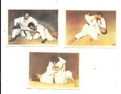 CY19  - VIGNETTES ETOILE DES ALPES - JUDO - Martial Arts