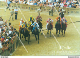 Bo533 Cartolina Siena Citta' Il Palio La Mosca - Siena