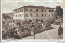 Bf301 Cartolina Chianciano Bagni Albergo Le Fonti Provincia Di Siena - Siena