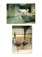Anvers   Zoo ( 4 Kaarten ) Dierenpark Planckendael - Antwerpen