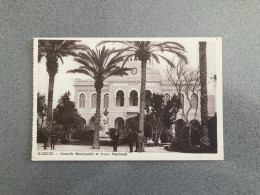 Bizerte - Nouvelle Municipalite Et Statue Massicault Carte Postale Postcard - Tunisie