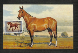 LUXEMBOURG - Carte MAXIMUM 1961 - Protection Des Animaux - Cheval - Tarjetas Máxima