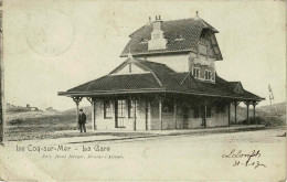 Le Coq-sur-Mer - La Gare - 1903 - De Haan