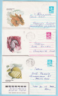 USSR 1983.1207. Coral Fishes. Prestamped Covers (3), Used - 1980-91