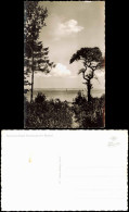 Ansichtskarte Timmendorfer Strand Strand Bäume 1955 - Autres & Non Classés