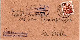 1948, Landpost Stpl. DELLINGSDORF über Ahrensburg Auf Brief M. 24 Pf. - Storia Postale