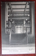 Cpa Jardin Zoologique - Palais Des Fêtes - Vue Perspective Du Musée D'histoire Naturelle 1905 - Antwerpen