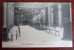 Cpa Jardin Zoologique - Temple égyptien (  Intérieur ) 1901 - Antwerpen