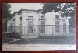 Cpa Jardin Zoologique - Temple égyptien ( Extérieur Et Girafes ) 1899 - Antwerpen