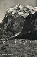 Switzerland Grindelwald Wetterhorn - Autres & Non Classés