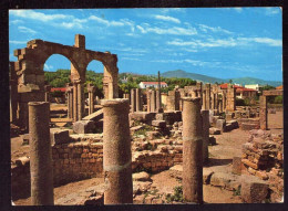 AK 211923 ALGERIA - Tigzirt - Roman Ruins - Other & Unclassified