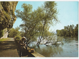 Un Beau Coin De Pêche - Fishing